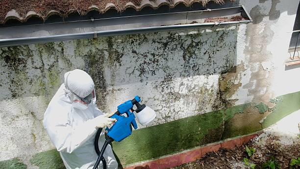 Trusted Mold Inspection service in Dallas, NC - Cheap Mold Removal
